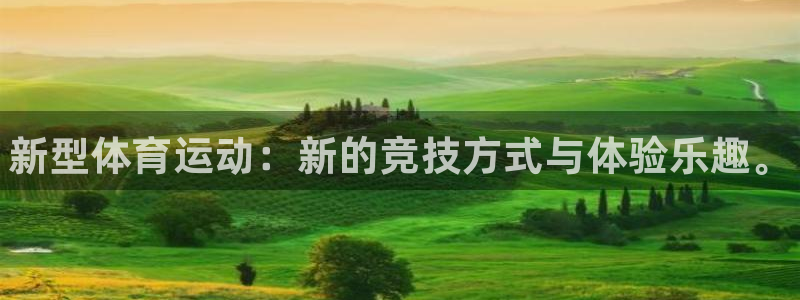 一竞技官网下载平台是正规平台吗:新型体育运动:新的竞技方式与