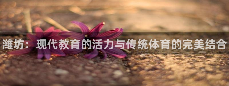 一竞技官方正版app娱乐首页网站大全:潍坊:现代教育的活力与