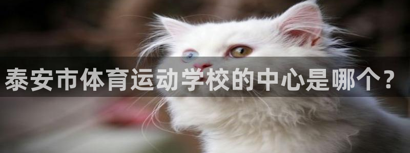 一竞技官网下载:泰安市体育运动学校的中心是哪个?