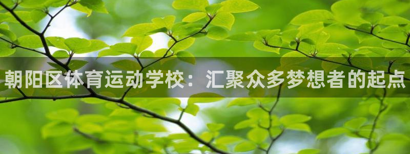 一竞技官网下载官方客服电话:朝阳区体育运动学校:汇聚众多梦想