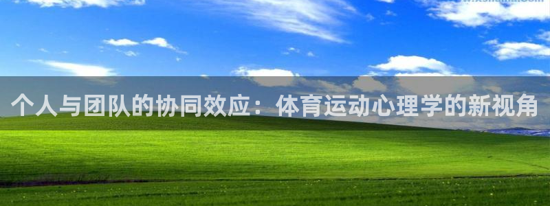 一竞技官方正版app集团官网网址:个人与团队的协同效应:体育